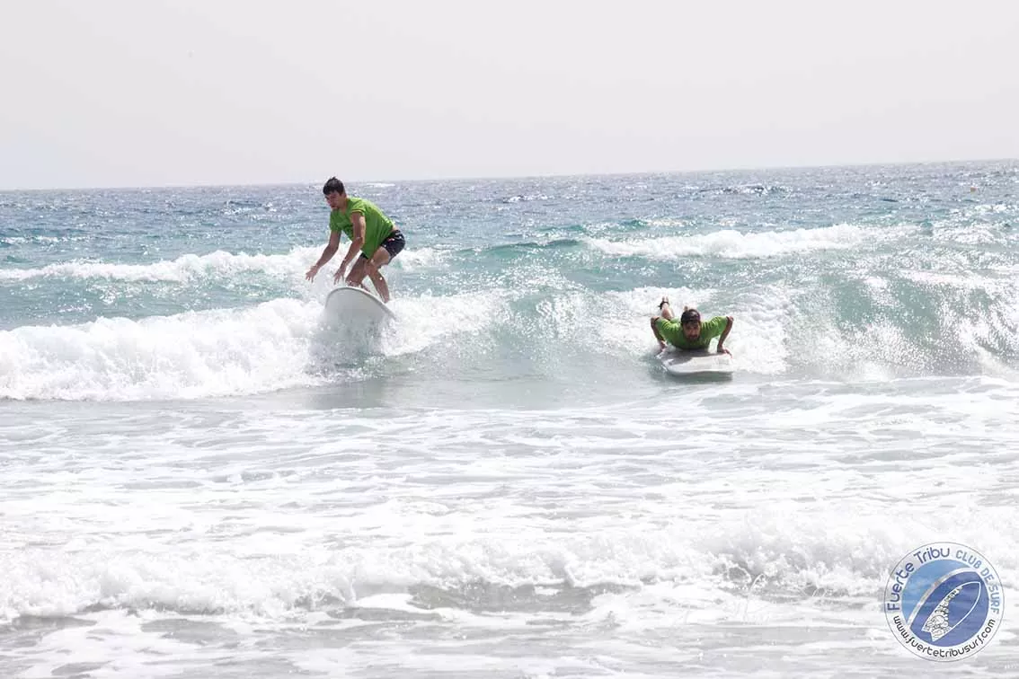 "SURFTERAPIA9"/